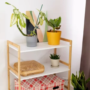 Adhésif Sans PVC Pour DIY Bouchon